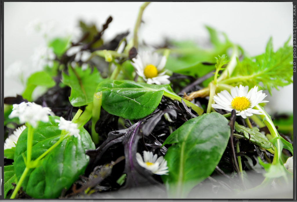 Inspiration: Blüten- und Kräutersalat | Culture Food Blog - Familie ...